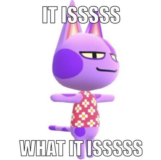 IT ISSSSS WHAT IT ISSSSS